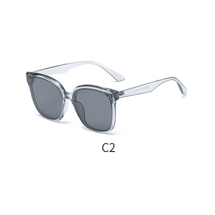 C2 Trans grey/grey