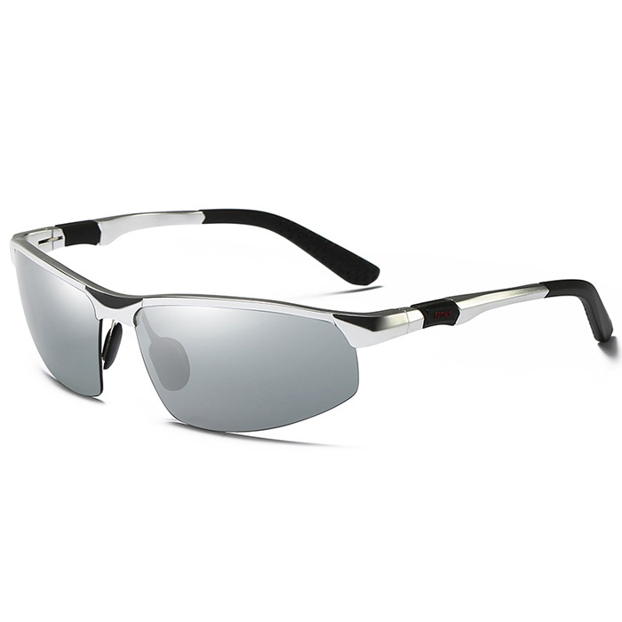 C6 Silver/silver