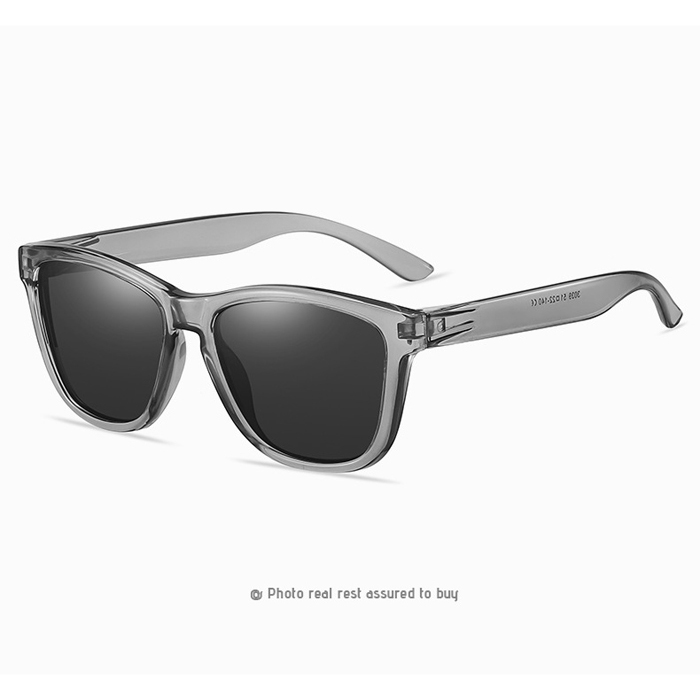 C3 Trans grey/grey