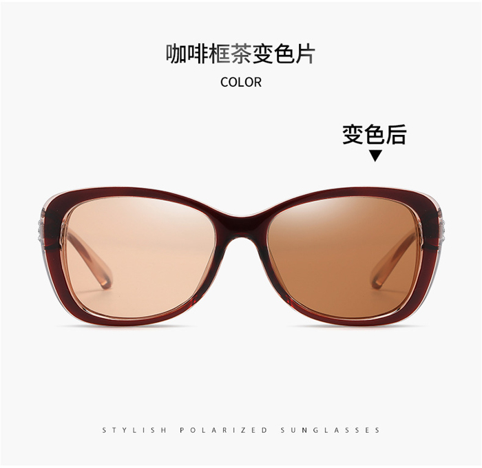 C5 Brown/photobrown