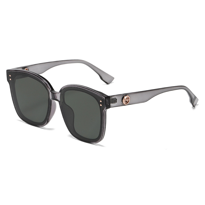 C2 Trans grey/dark green