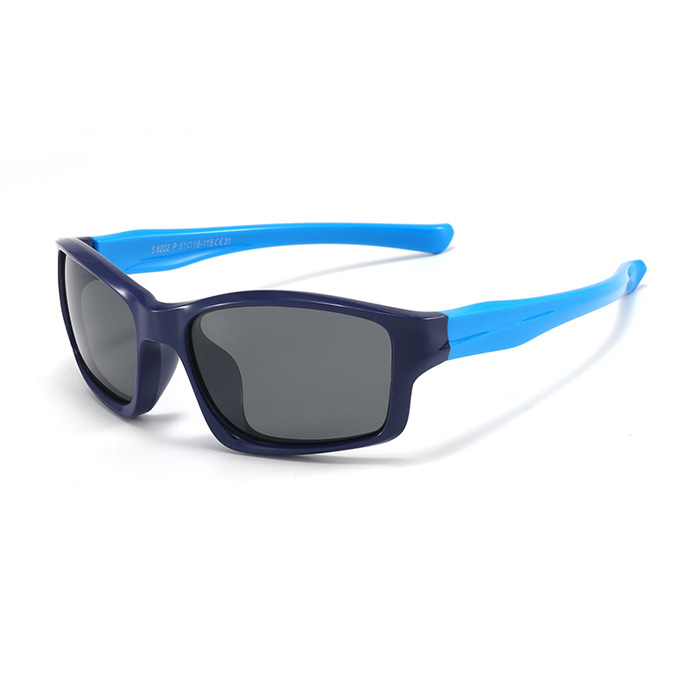 C31 Dark blue/blue