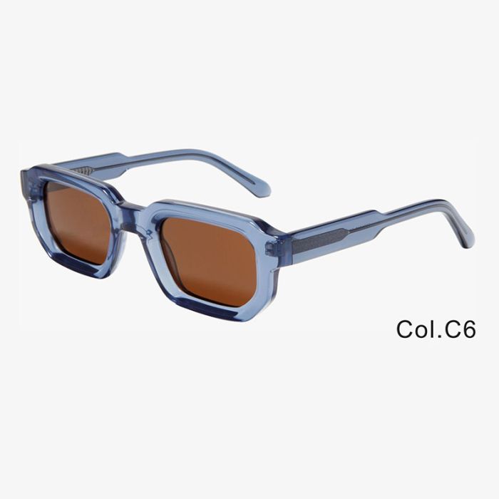 C6 Trans blue+polarized brown lenses
