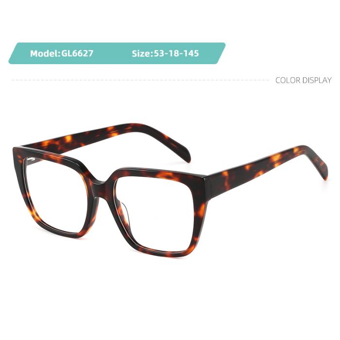 C3 Optical frame C3