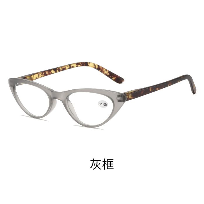 C4 Grey frame+demi temples