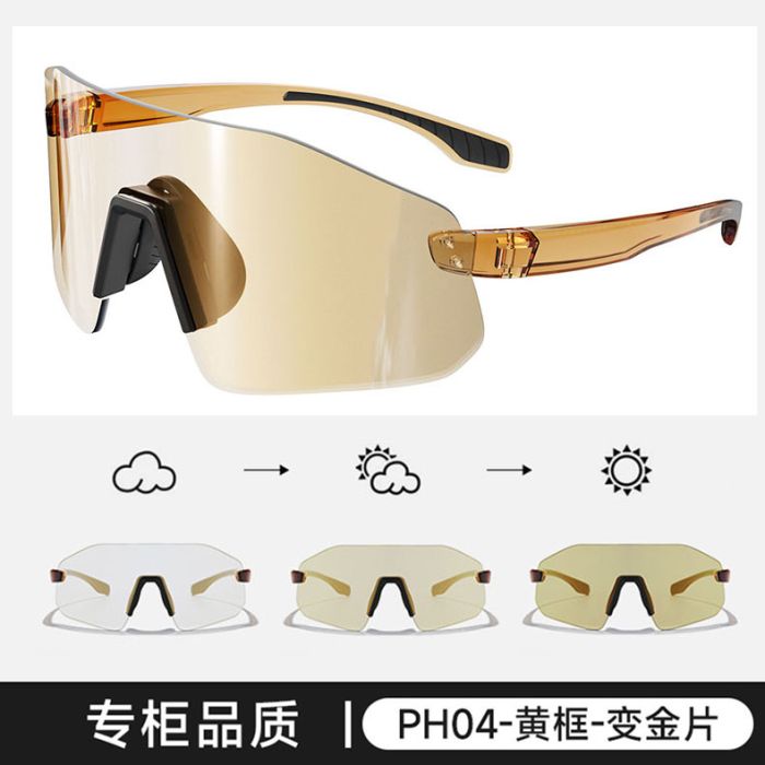 C4 Brown frame+photogold lenses
