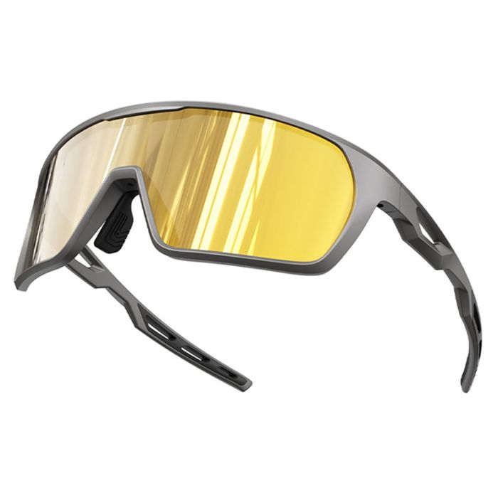 C5 Matte grey/grey with gold