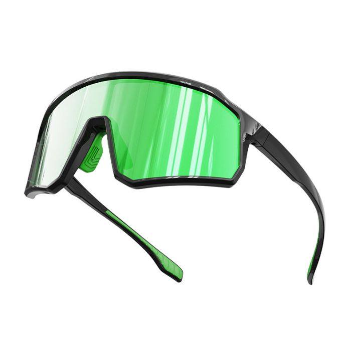 C1 Shiny black/grey with green coating lenses